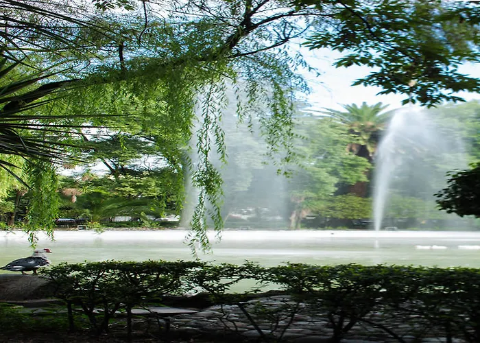 Parque 4* Mexico City